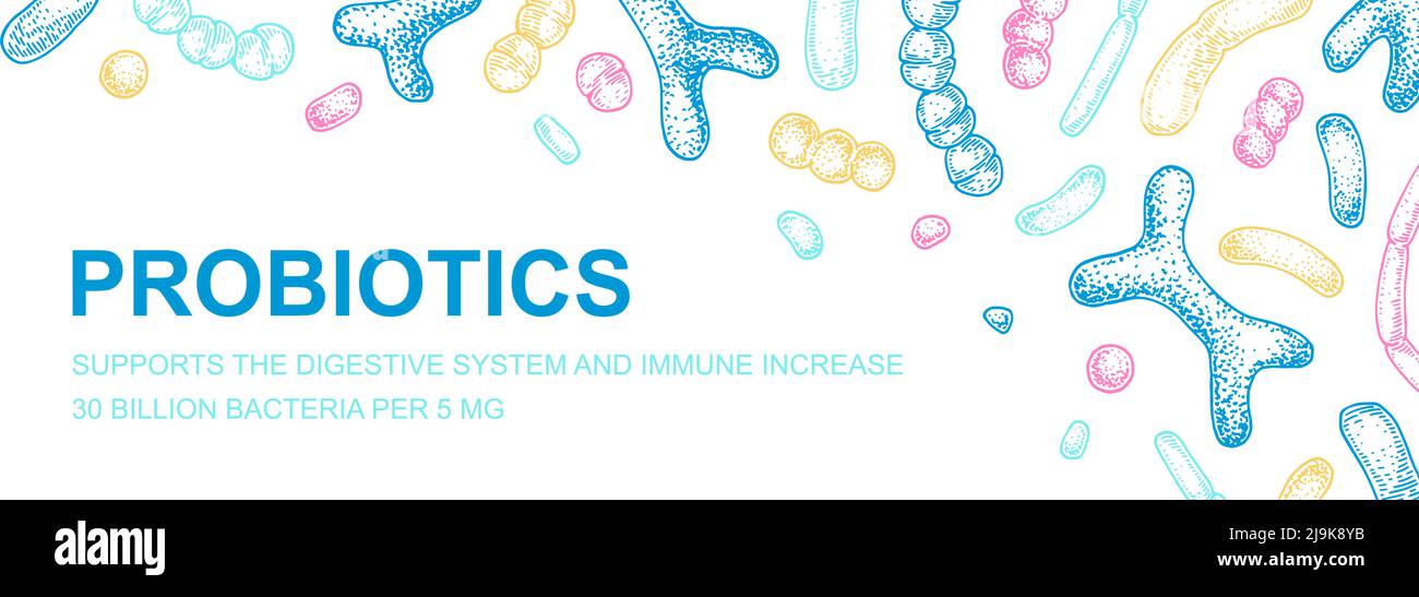 Hand drawn probiotics design for packaging and branding. Vector illustration in sketch style. Microscopic bacteria close-up. Biology background Stock Vector