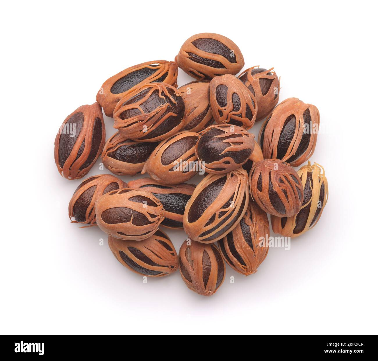 Top view of whole dried nutmeg with mace isolated on white Stock Photo