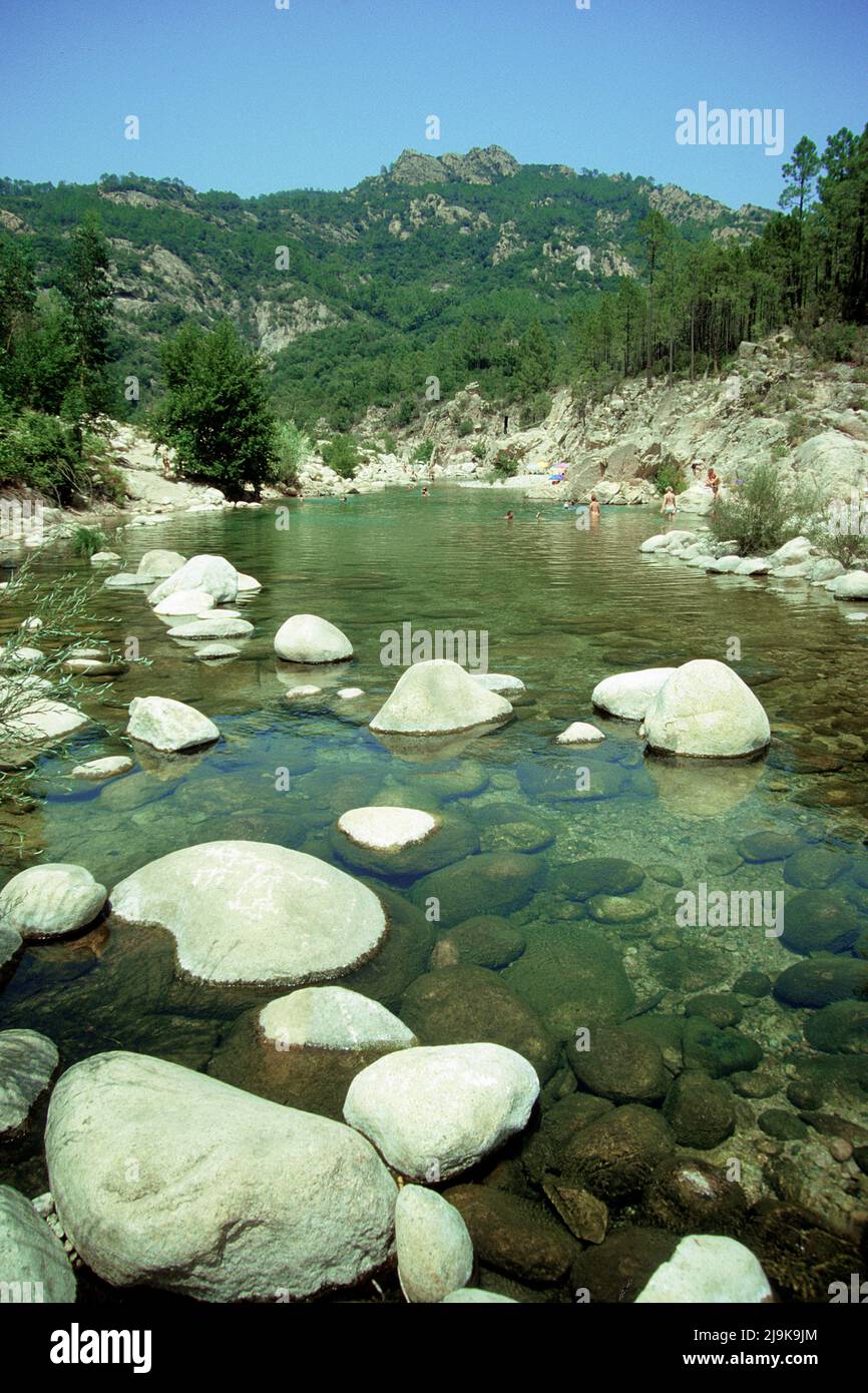Stream with granite blocks at Asco valley, Corsica, France, Mediterranean Sea, Europe Stock Photo
