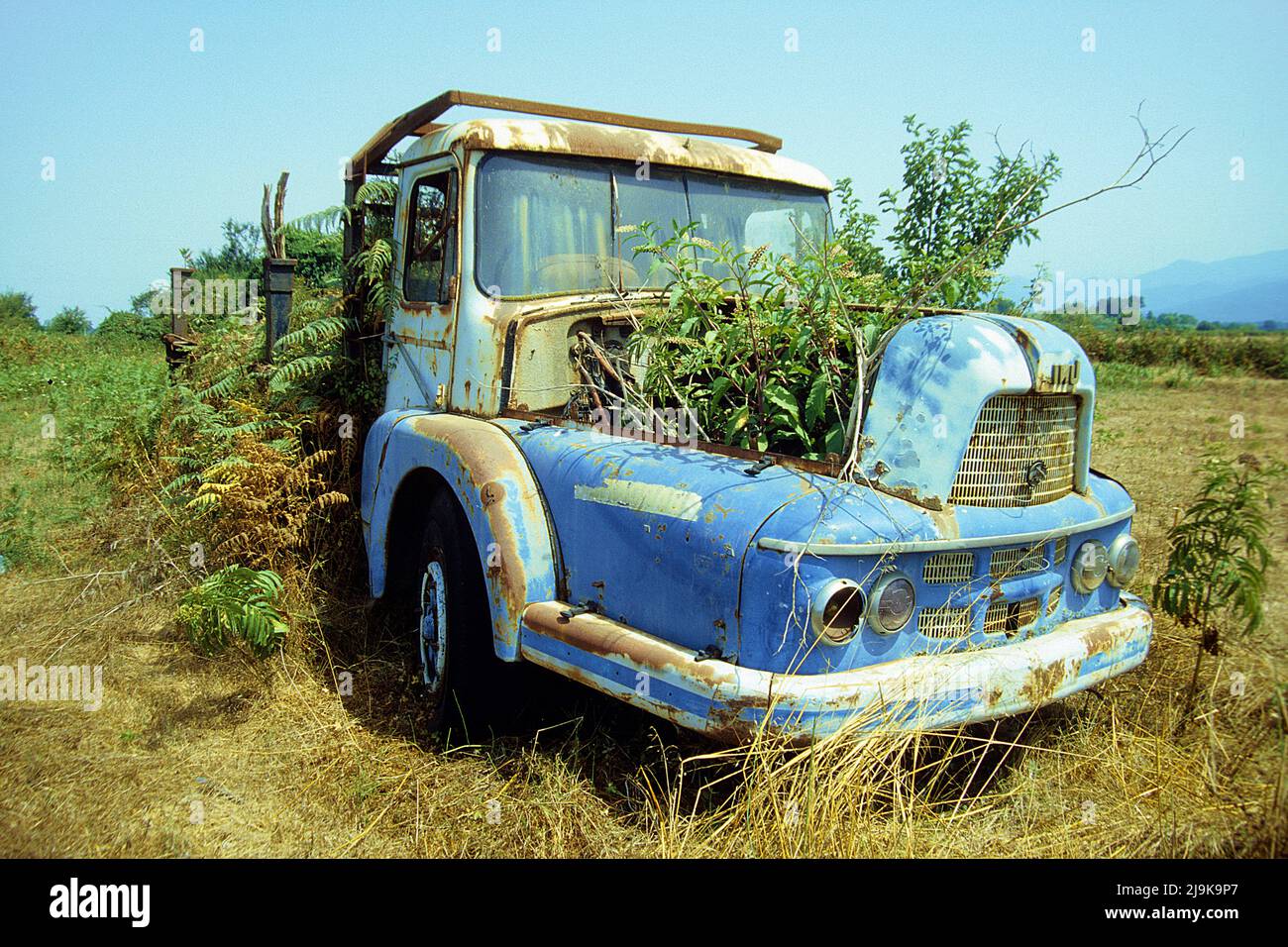 Abandoned truck, overgrown with plants, Corsica, France, Mediterranean, Europe Stock Photo