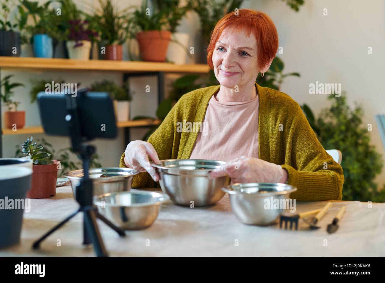 Redhead senior woman sitting at table with bowls and shooting video on her mobile phone, she making blog about gardening Stock Photo