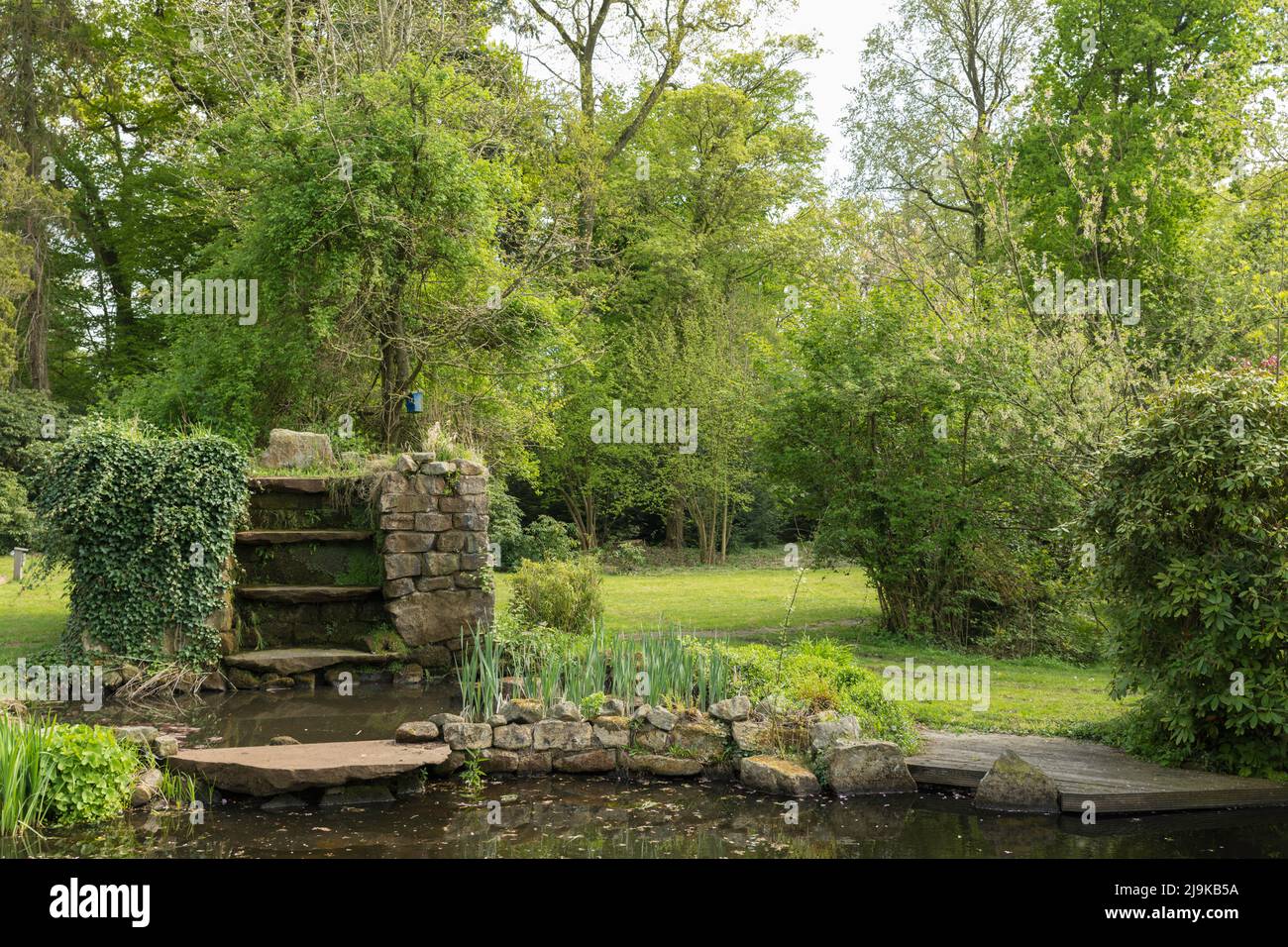 large English garden with pond, waterfall stones and many green shrubs