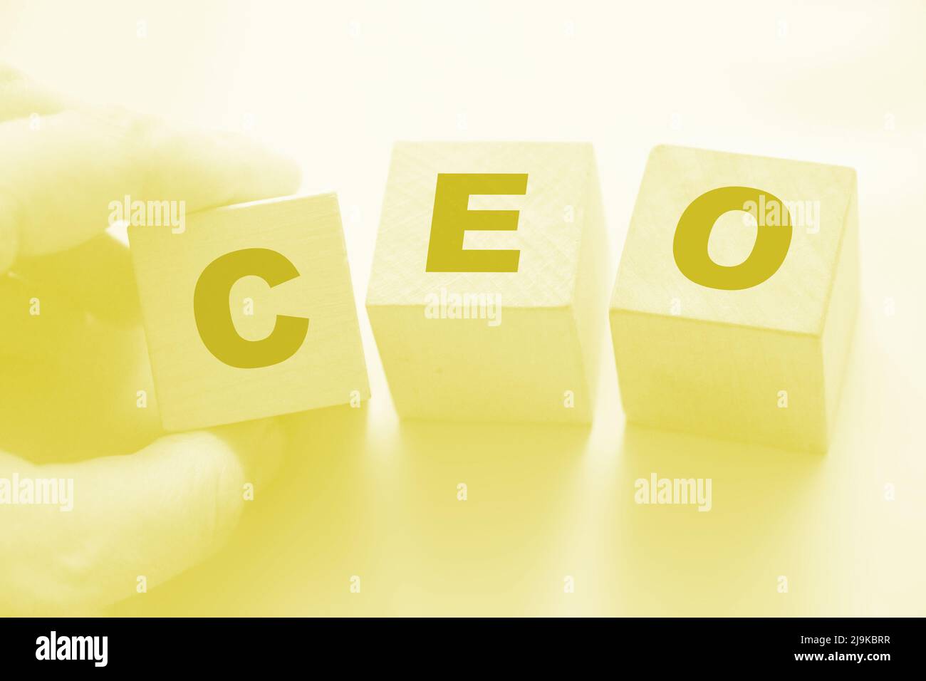 CEO on wooden cubes.Chief Executive officer. Business management concept. Stock Photo