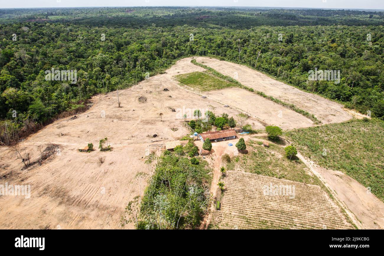 Deforestation of the Amazon rainforest. Patch of forest land cleared of