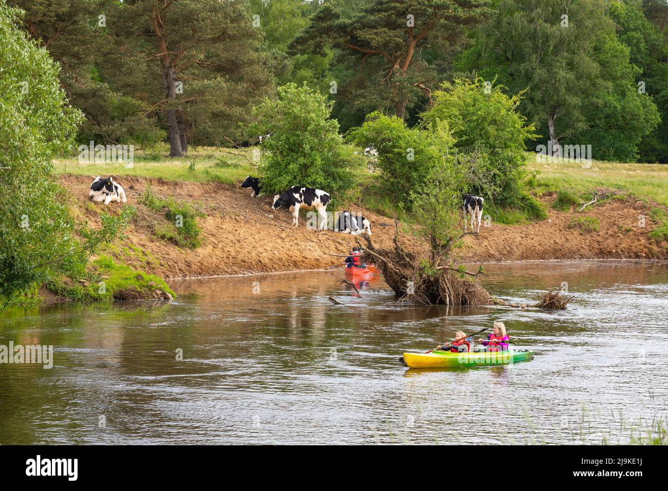 Group canoeing at river Haase in Lower Saxony, Germany Stock Photo