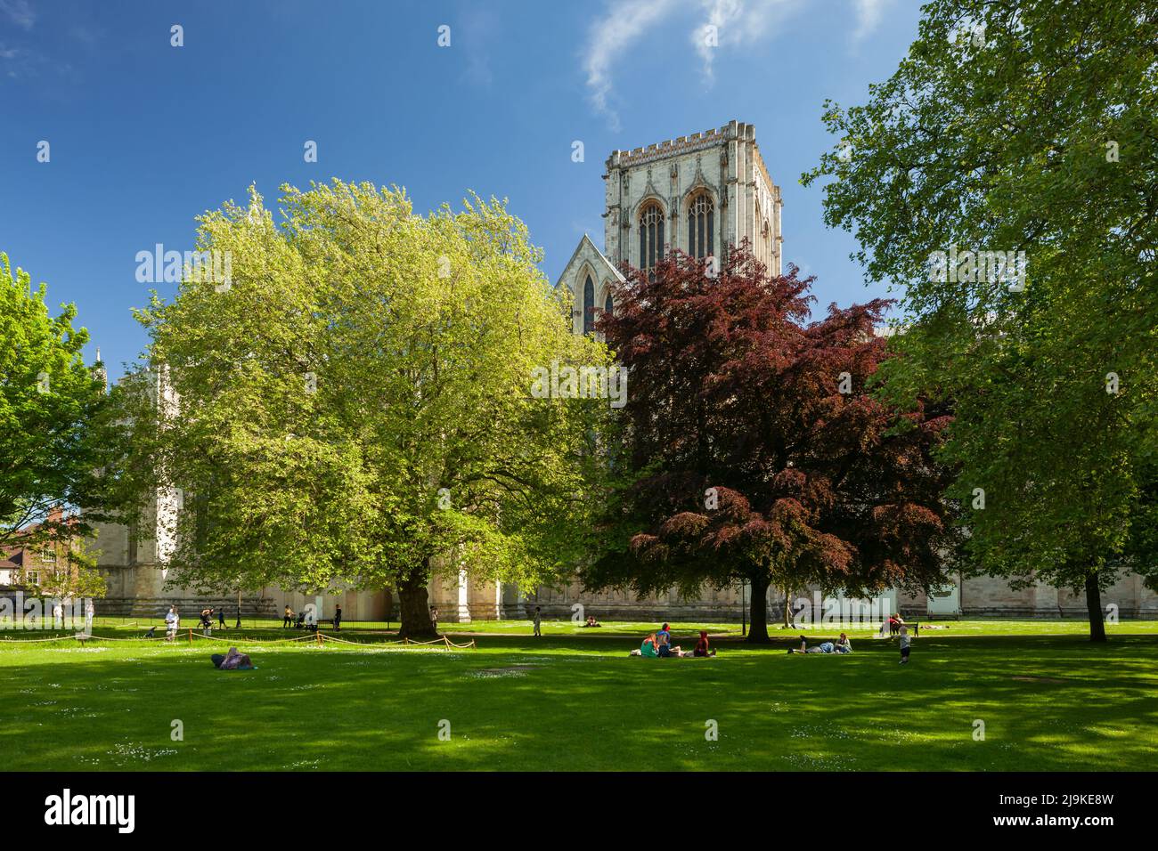 Spring afternoon in Dean's Park near York Minster. York, England. Stock Photo