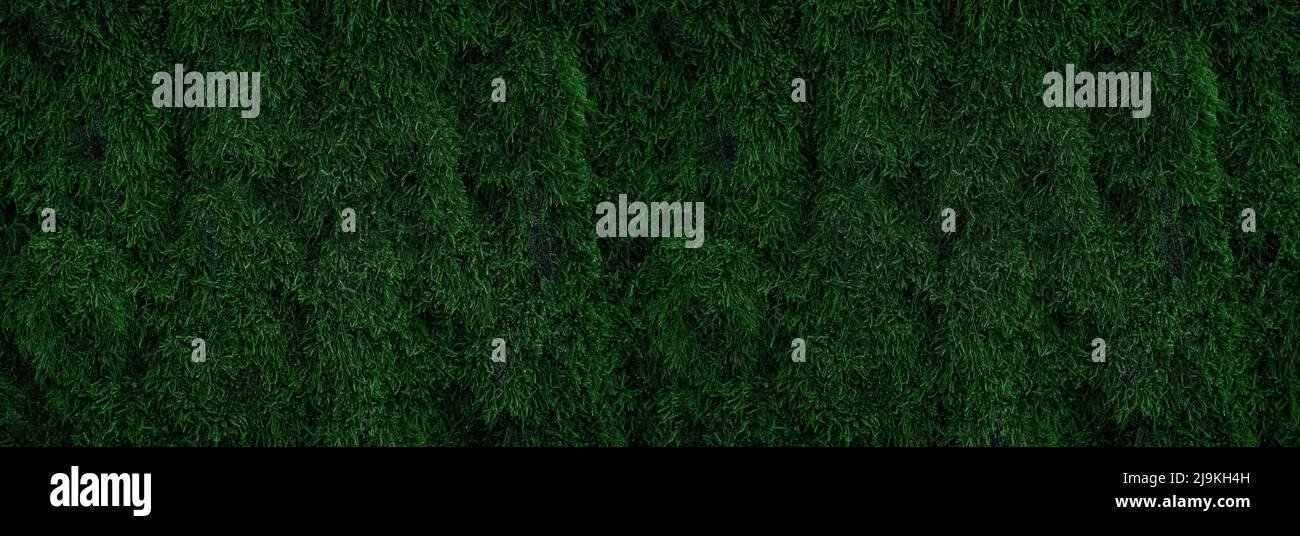 green moss on tree trunk for background Stock Photo