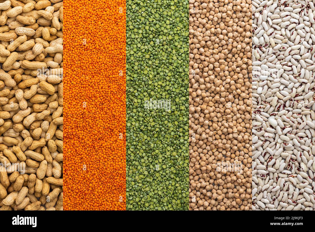 Different types of legumes, chickpeas and lentils and peanuts, white