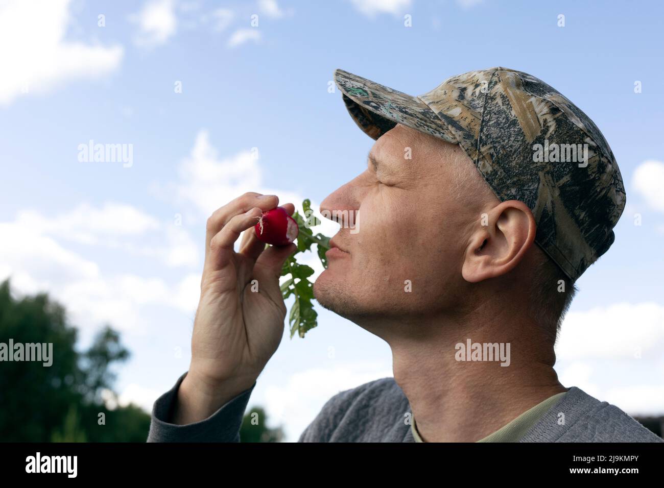 Does Horseradishs Bite Come From Capsaicin Find Out - svnm0f4