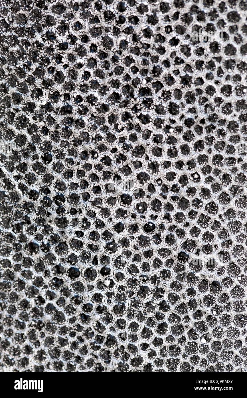 4,259 Polystyrene Ball Images, Stock Photos, 3D objects, & Vectors