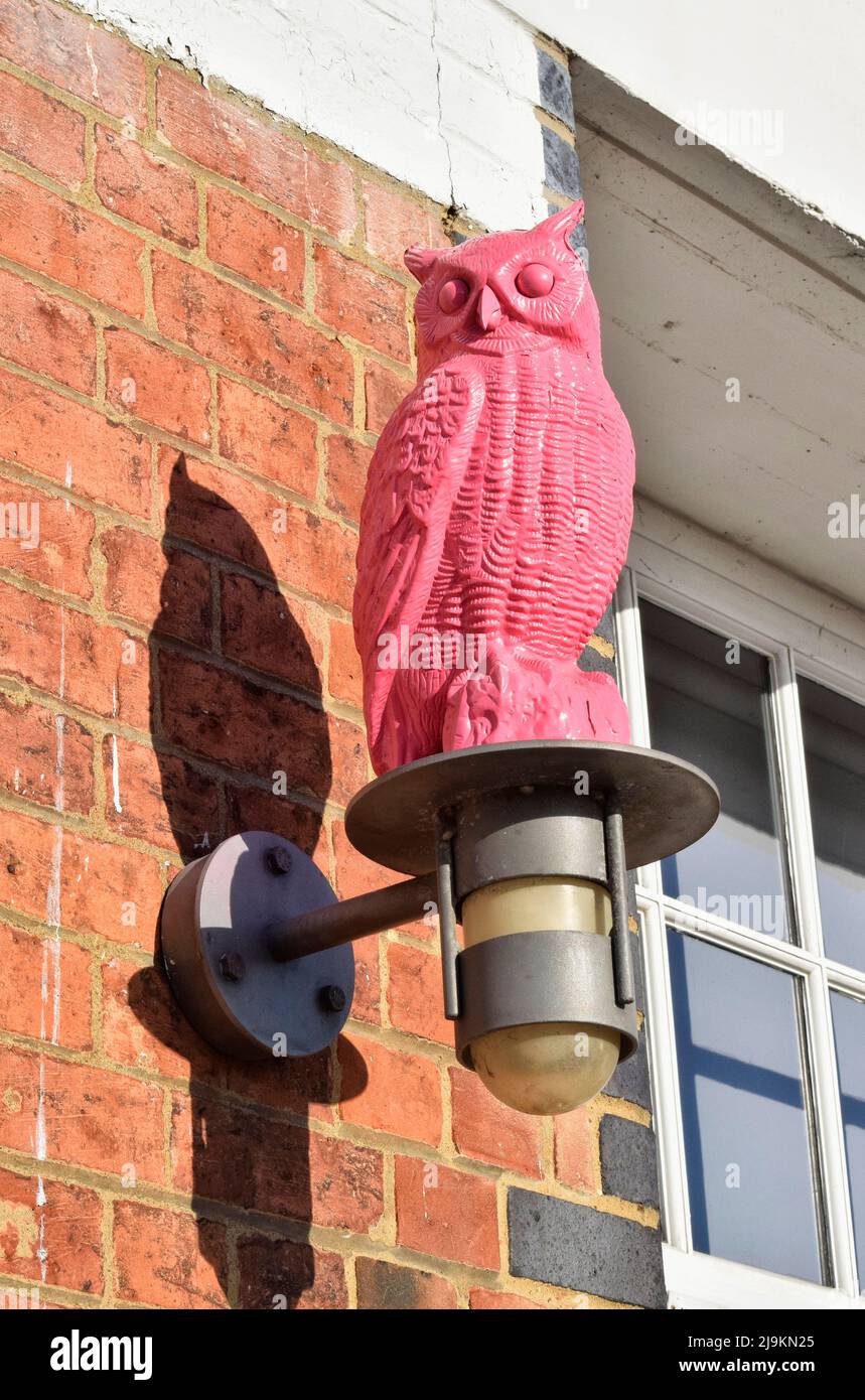 pink plastic owl decoration, ipswich, suffolk Stock Photo