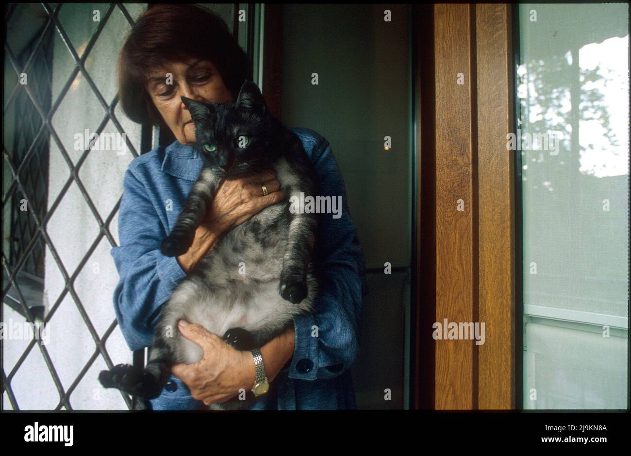 Lech Kaczynski Cat Hi res Stock Photography And Images Alamy