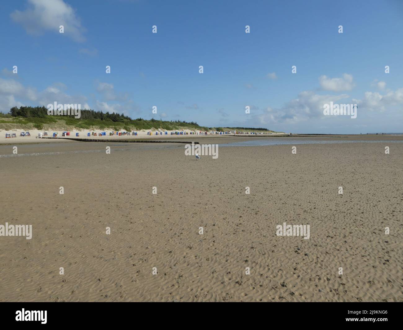 Beach panorama during low tide Stock Photo