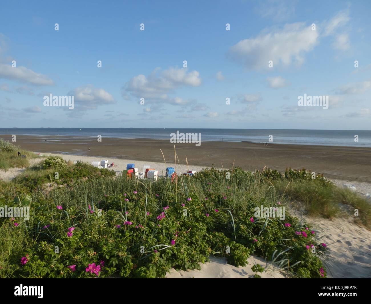 Beautiful beach during low tide Stock Photo Alamy