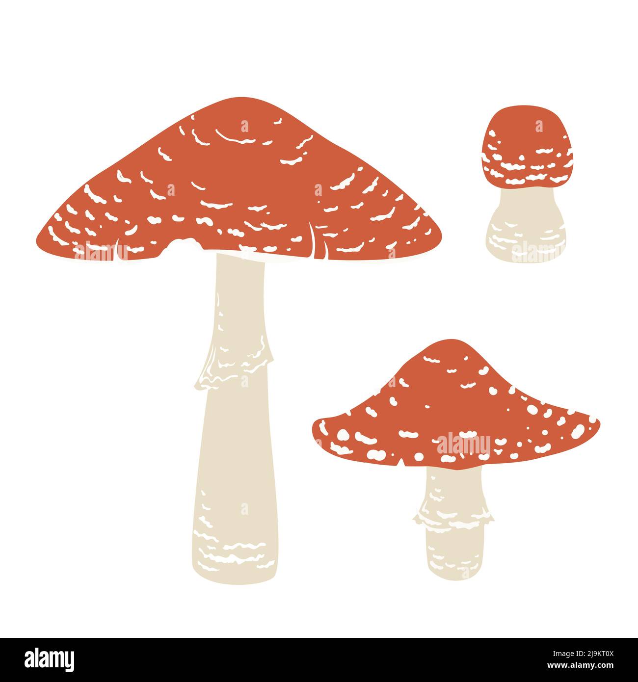 Fly aragic set, toadstool cute inedible mushrooms. Amanita muscaria. Vector illustration in cartoon style isolated on white background Stock Vector