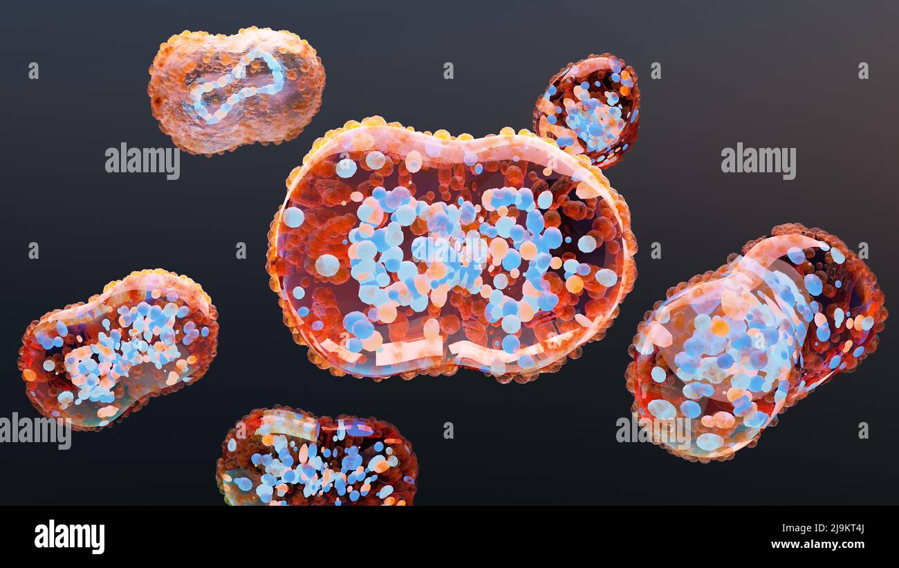 3d illustration of Monkeypox infection pandemic. monkeypox cell, symptoms or precautions, variant of smallpox, Mutated fever monkey, Virus threat to h Stock Photo