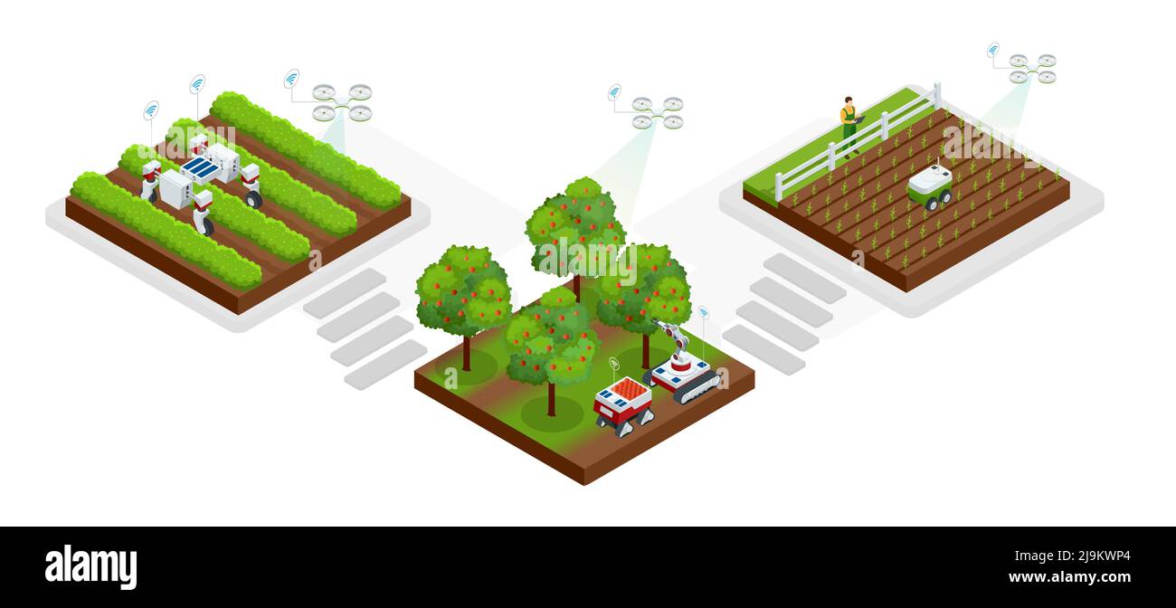 Isometric Smart robotic in agriculture, automation robot farmers must be programmed to work. Artificial intelligence robots in agricultural. Organic Stock Vector