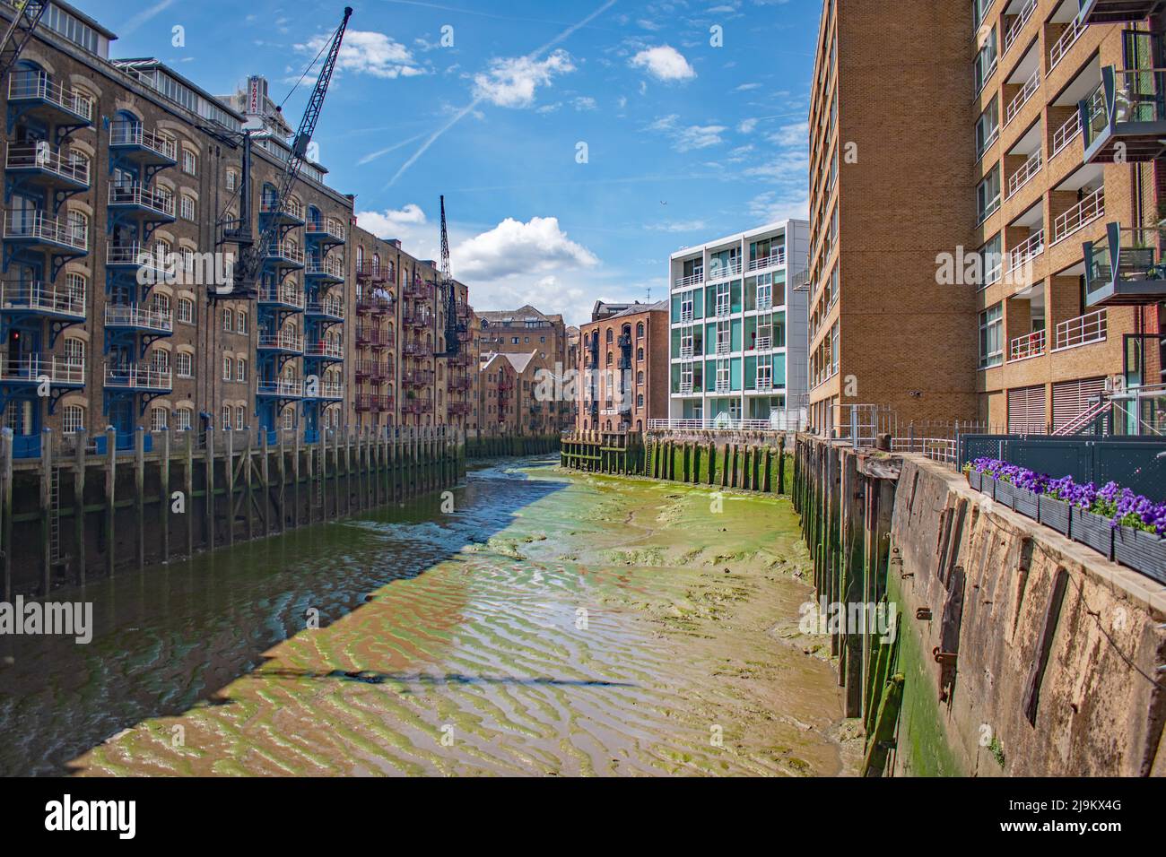 Green oozing mud at New Concordia Wharf London on a May day with the tide out Stock Photo