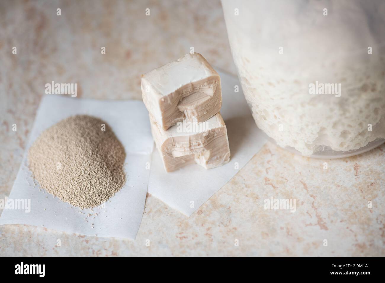 Instant and fresh raw yeast and sourdough in a jar. Natural leavening