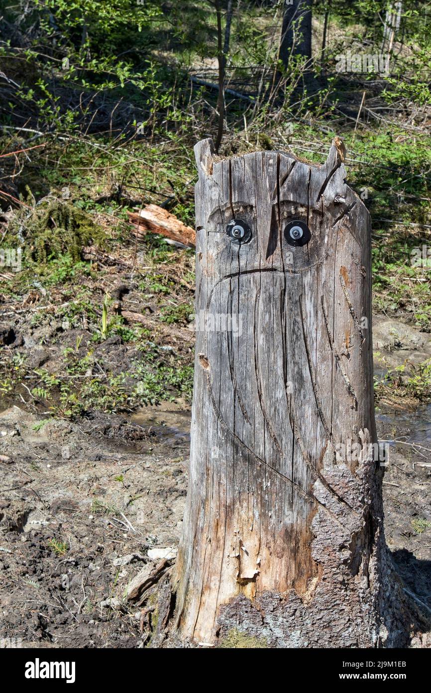 Wooden owl statue, folk art in the woods Stock Photo - Alamy