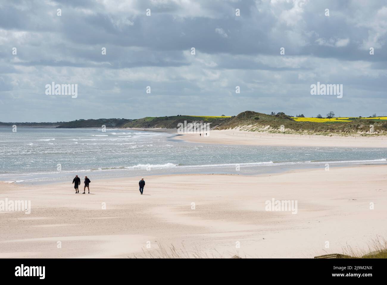 Northumberland beach, view in late spring of people walking on the sandy beach in Alnmouth Bay on the Northumberland coast, Alnmouth, England, UK Stock Photo