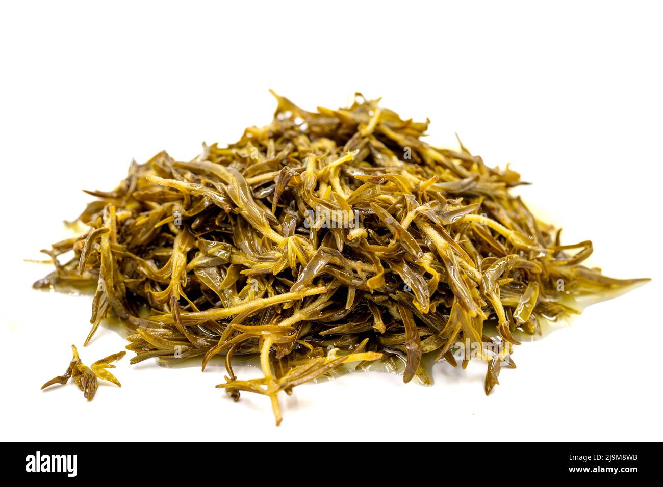 Mountain thyme with sauce. Natural olive oil thyme for breakfast on