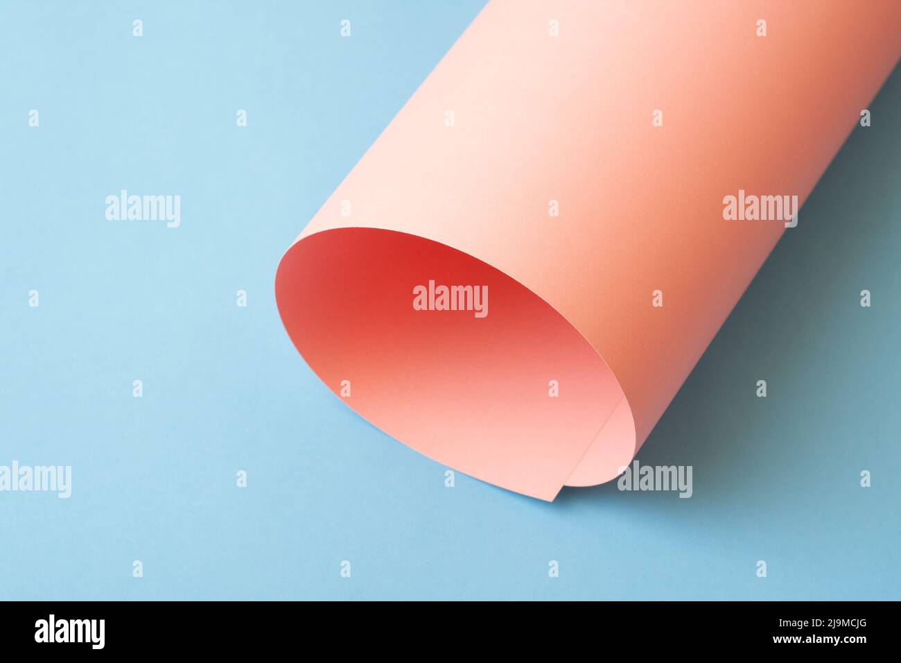 Rolled pink paper on blue background. Stock Photo