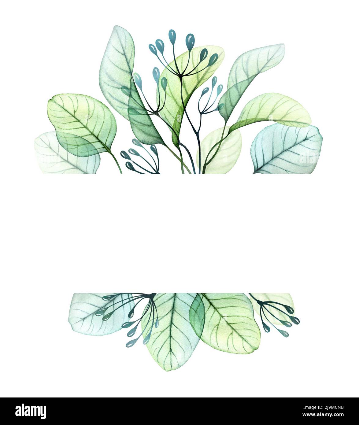 Watercolor banner template with eucalyptus leaves. Rectangular frame with transparent fresh greenery. Place for text and logo. Botanical floral Stock Photo