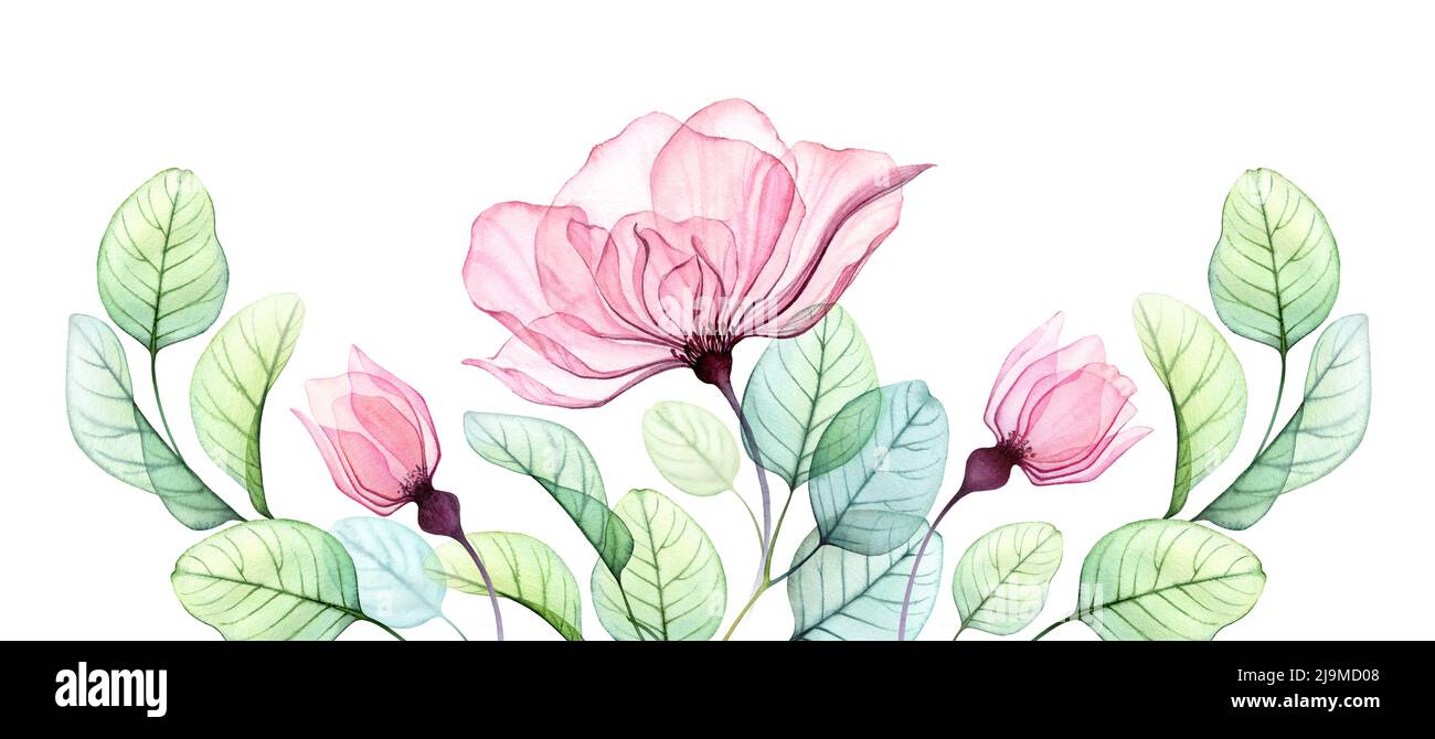 Watercolor rose floral arrangement of pink flowers, buds and eucalyptus leaves. Big horizontal border. Transparent hand drawn illustration for wedding Stock Photo