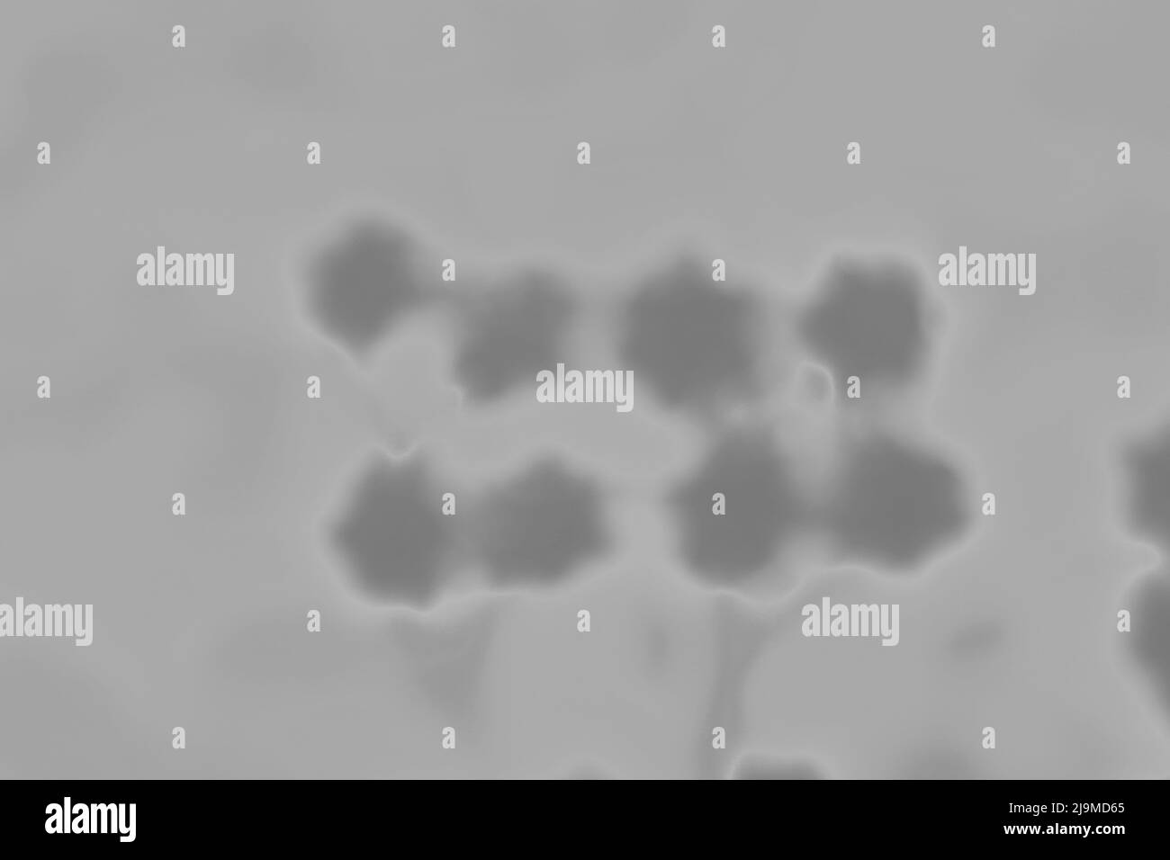 Pretty street view Black and White Stock Photos & Images - Alamy