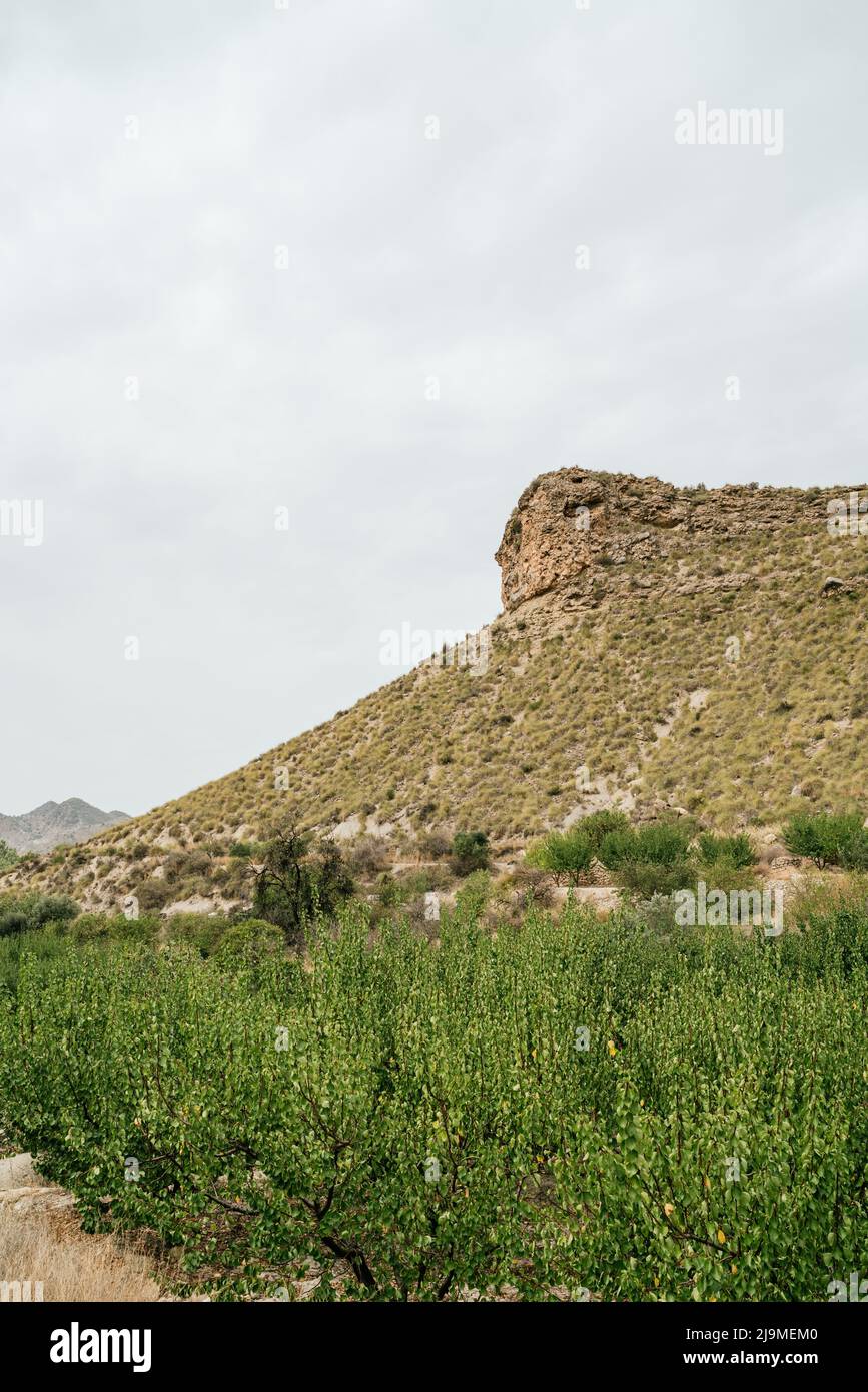 Picturesque landscape of lush green grass growing on meadow near mountain against cloudy sky in countryside Stock Photo