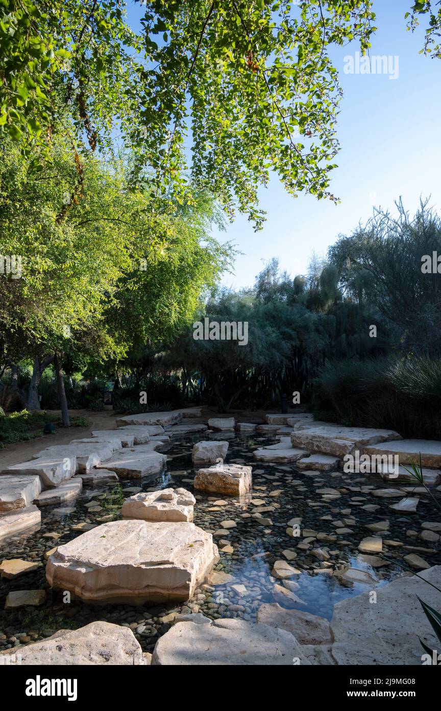 The Botanical garden at Umm al Emarat park that features over 200