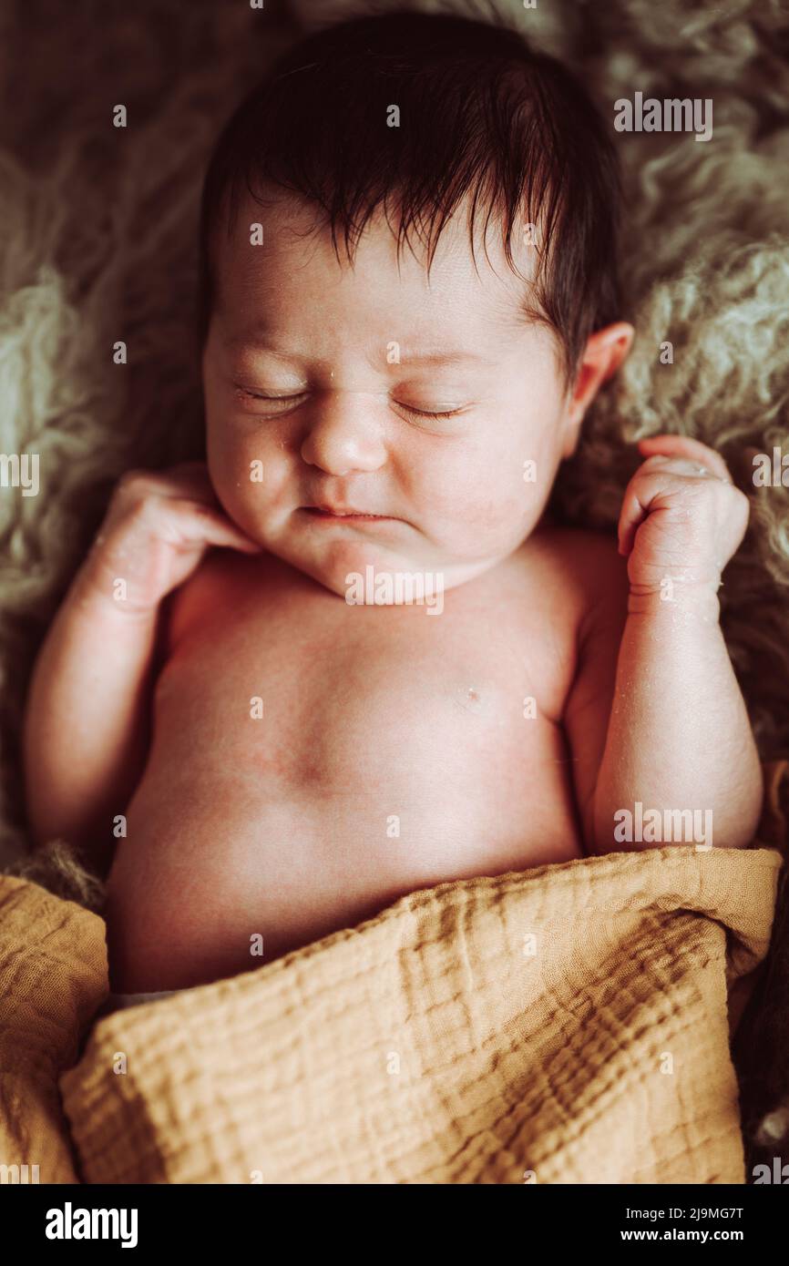 From above of adorable newborn baby with dark hair wrapped in blanket lying on soft fur plaid in light studio Stock Photo