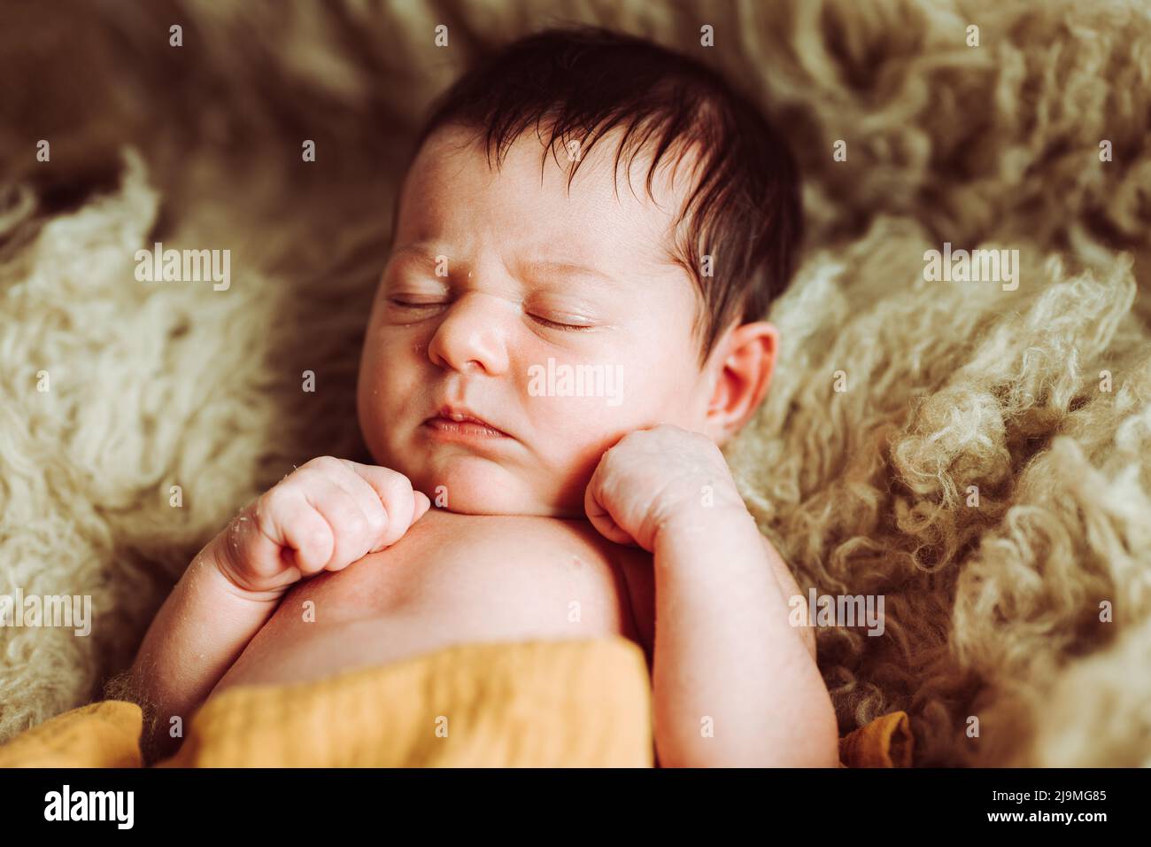 From above of adorable newborn baby with dark hair wrapped in blanket lying on soft fur plaid in light studio Stock Photo