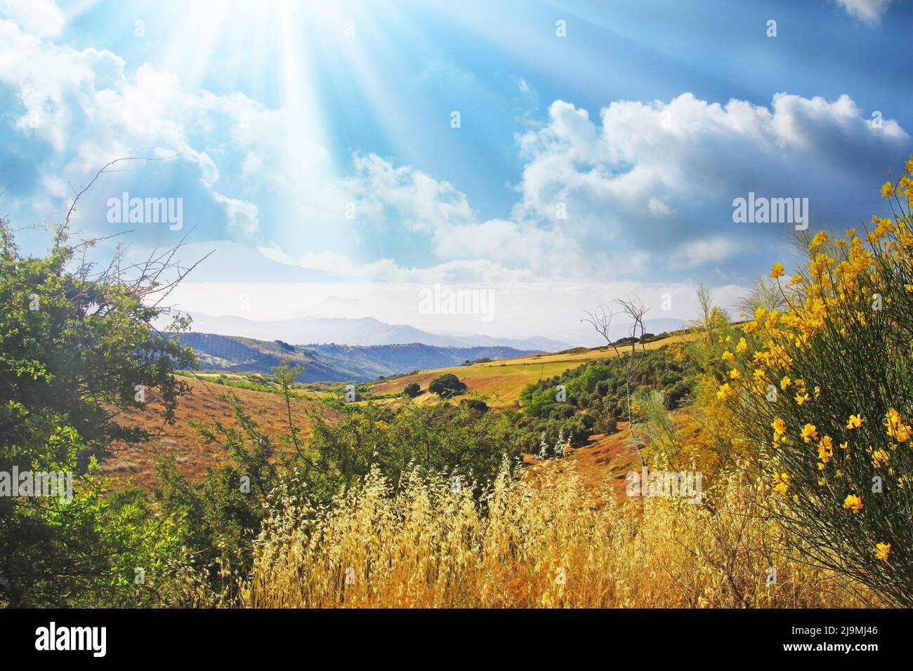 Beautiful quiet inspirational spanish morning mountain valley scene, sun rays, yellow genista broom shrub, agricultural fields, clouds sun rays - Spai Stock Photo