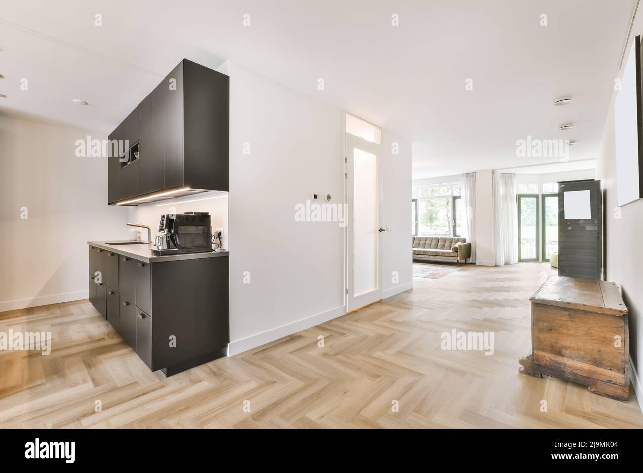 Light kitchen and living room connected with corridor with white door