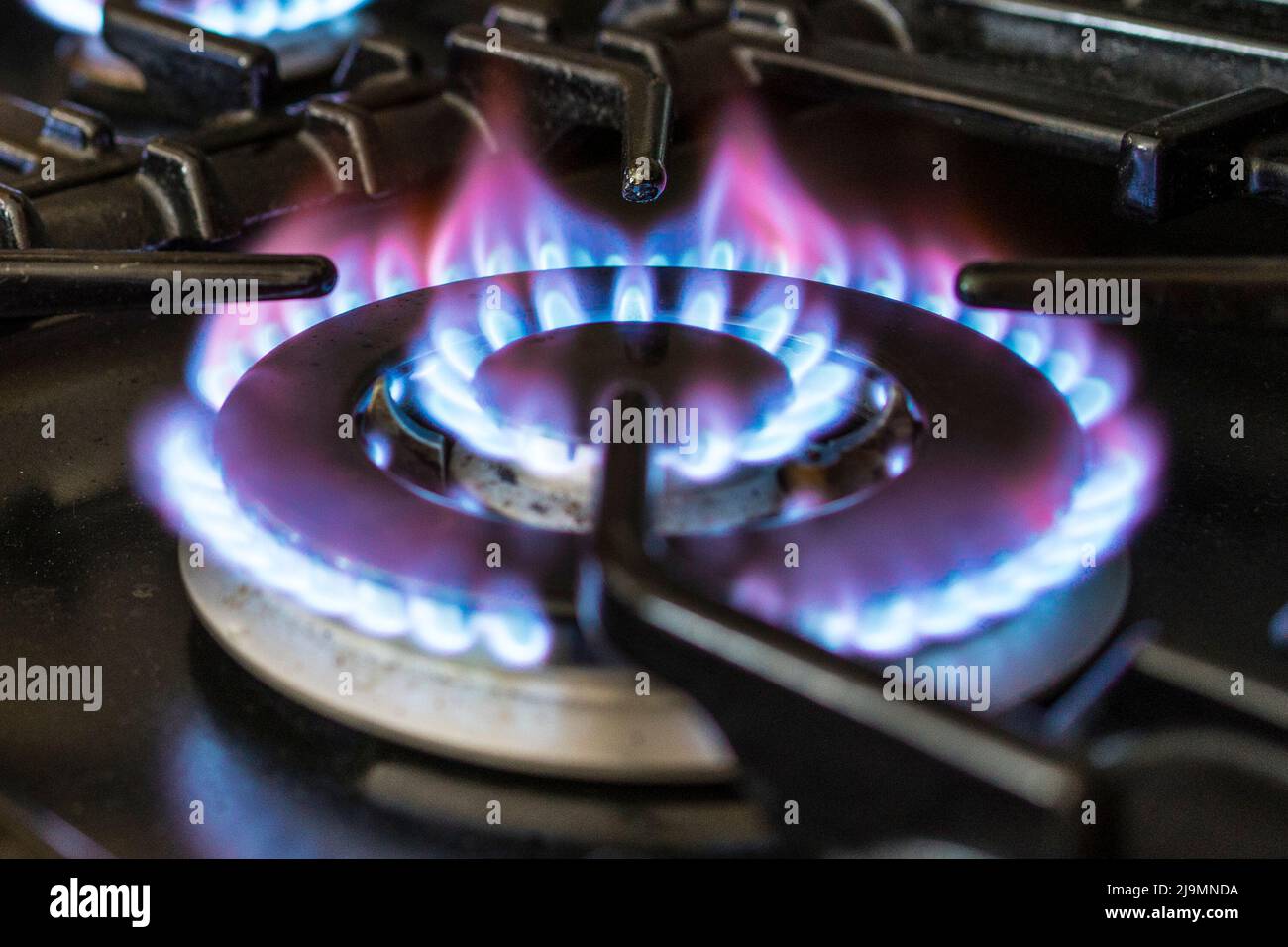 Gas burner on domestic kitchen stove Stock Photo Alamy
