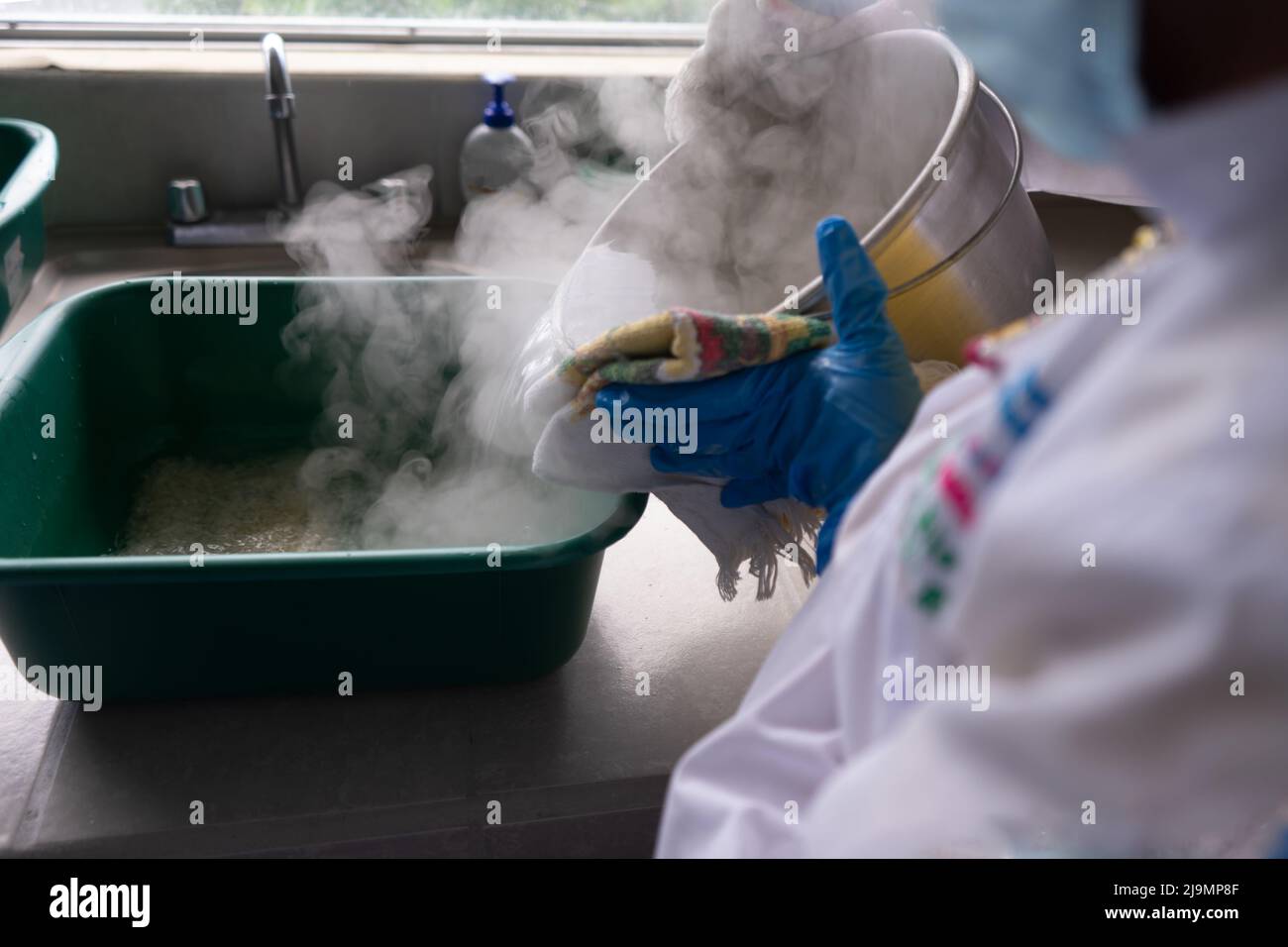 Precooking process for the production of medicinal mushrooms in a laboratory Stock Photo