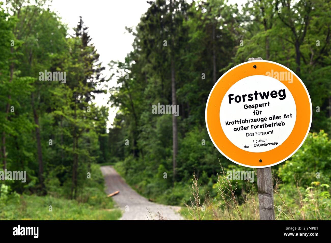 Weimar, Germany. 24th May, 2022. Forstweg is written on the sign at the  edge of the forest on the Ettersberg. Thuringia's agriculture minister  expects the federal government to quickly disburse the first