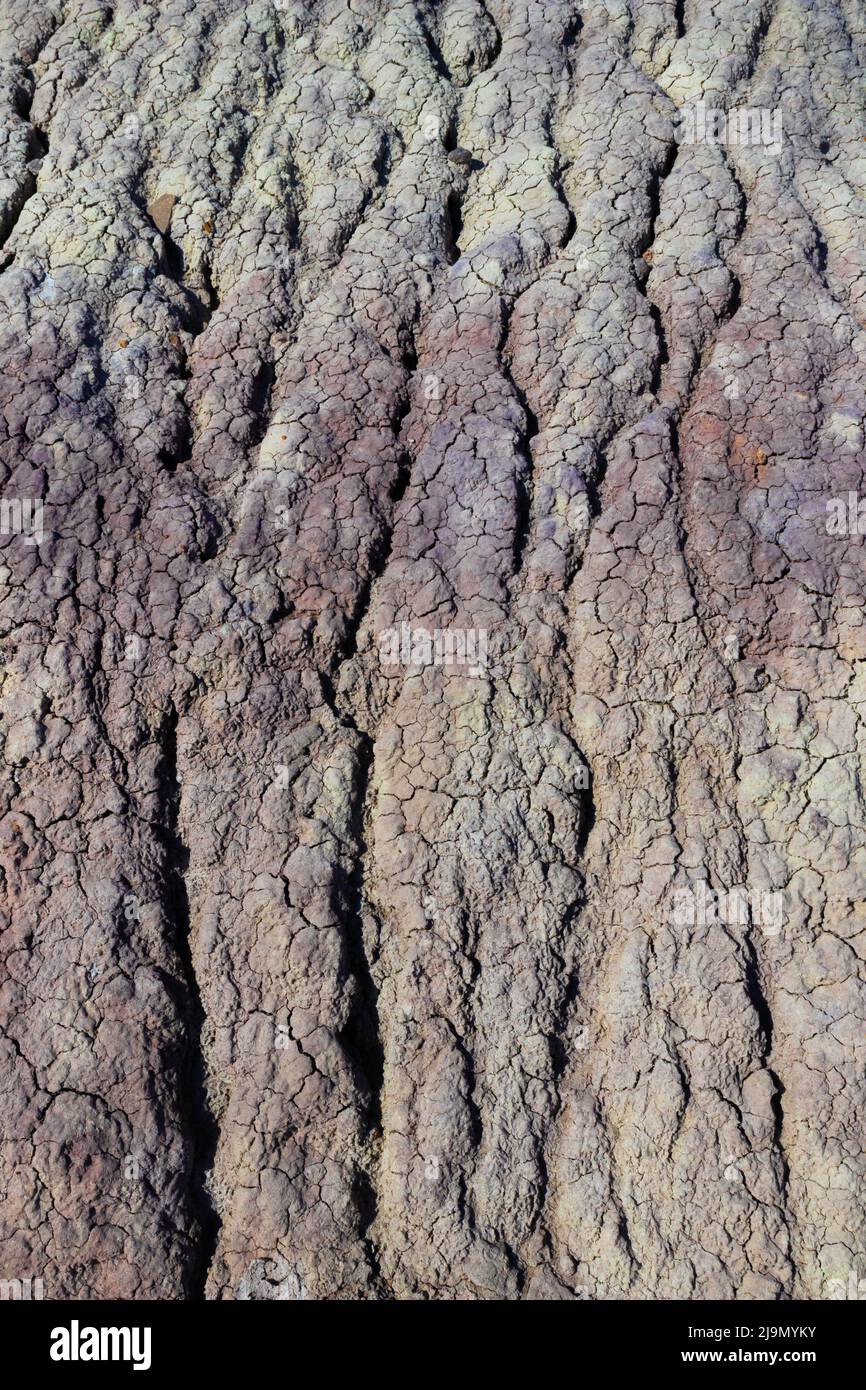 Texture of different colored dry ground cracked by drought in a desert ...