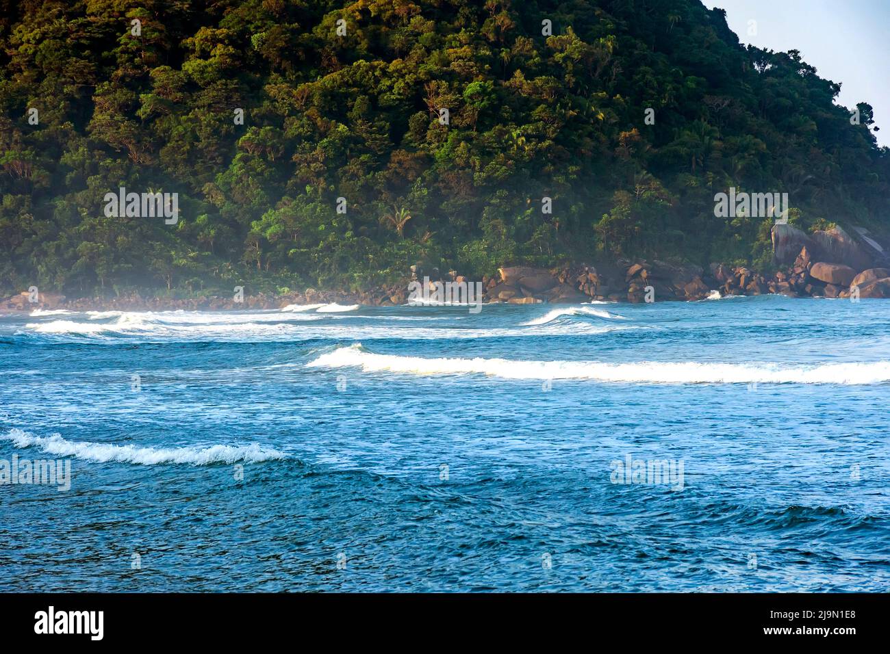 Paradise beach with the meeting of preserved tropical forest and the sea in Bertioga in the state of São Paulo, Brazil Stock Photo