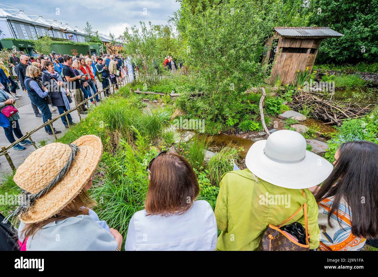 Rewilding britain hires stock photography and images Alamy