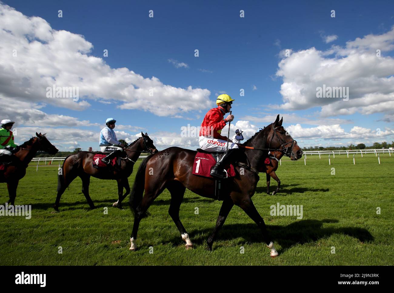 Butler's Brief ridden by jockey Nick Scholfield prior to competing in the Goose Island Handicap Hurdle at Bangor-On-Dee racecourse, Wrexham County Borough. Picture date: Tuesday May 24, 2022. Stock Photo