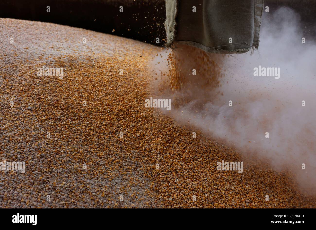 Grain is loaded on a truck at the Mlybor flour mill facility after it was shelled repeatedly