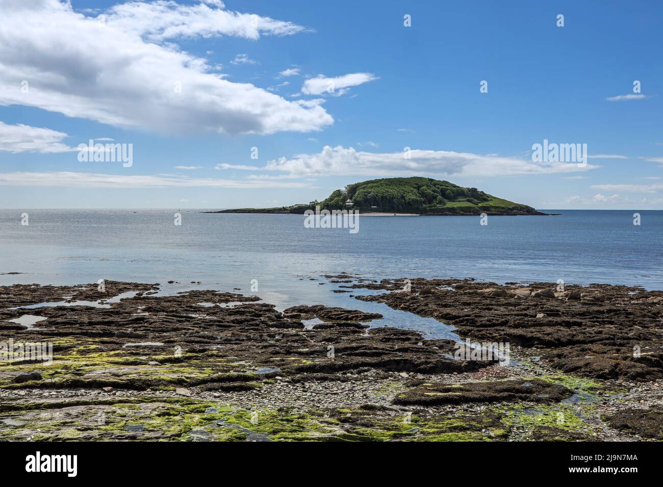 Looe Island from Hannafore, West Looe, Cornwall. According to local legend Joseph of Arimathea landed here with the Christ child. Now owned and manage Stock Photo