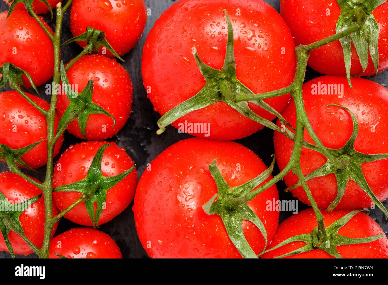 Close up of tomatoes background hi-res stock photography and images - Alamy