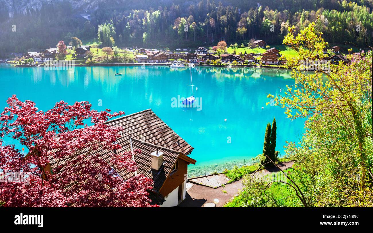 Stunning idylic nature scenery of mountain lake Brienz . Switzerland, Bern canton. Iseltwald village surrounded turquoise waters Stock Photo