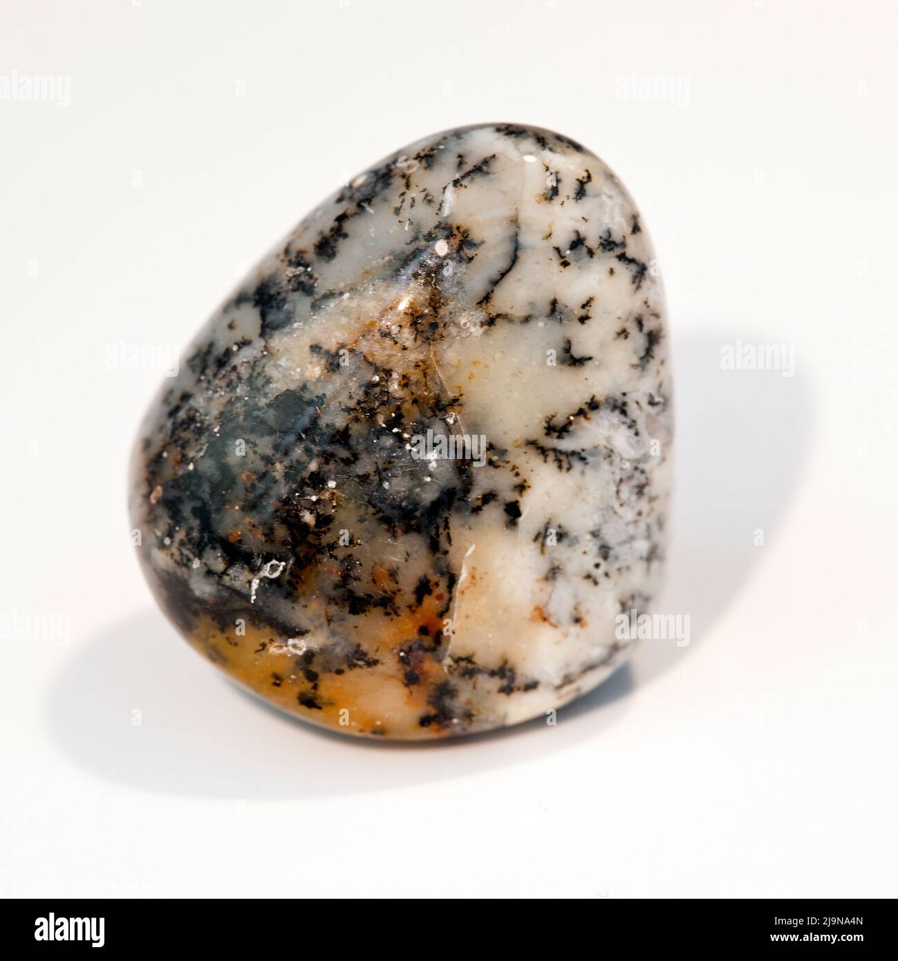 Macro shot a close up colour photograph of a polished  'Dendritic Opal' a semi precious crystal healing stone Stock Photo