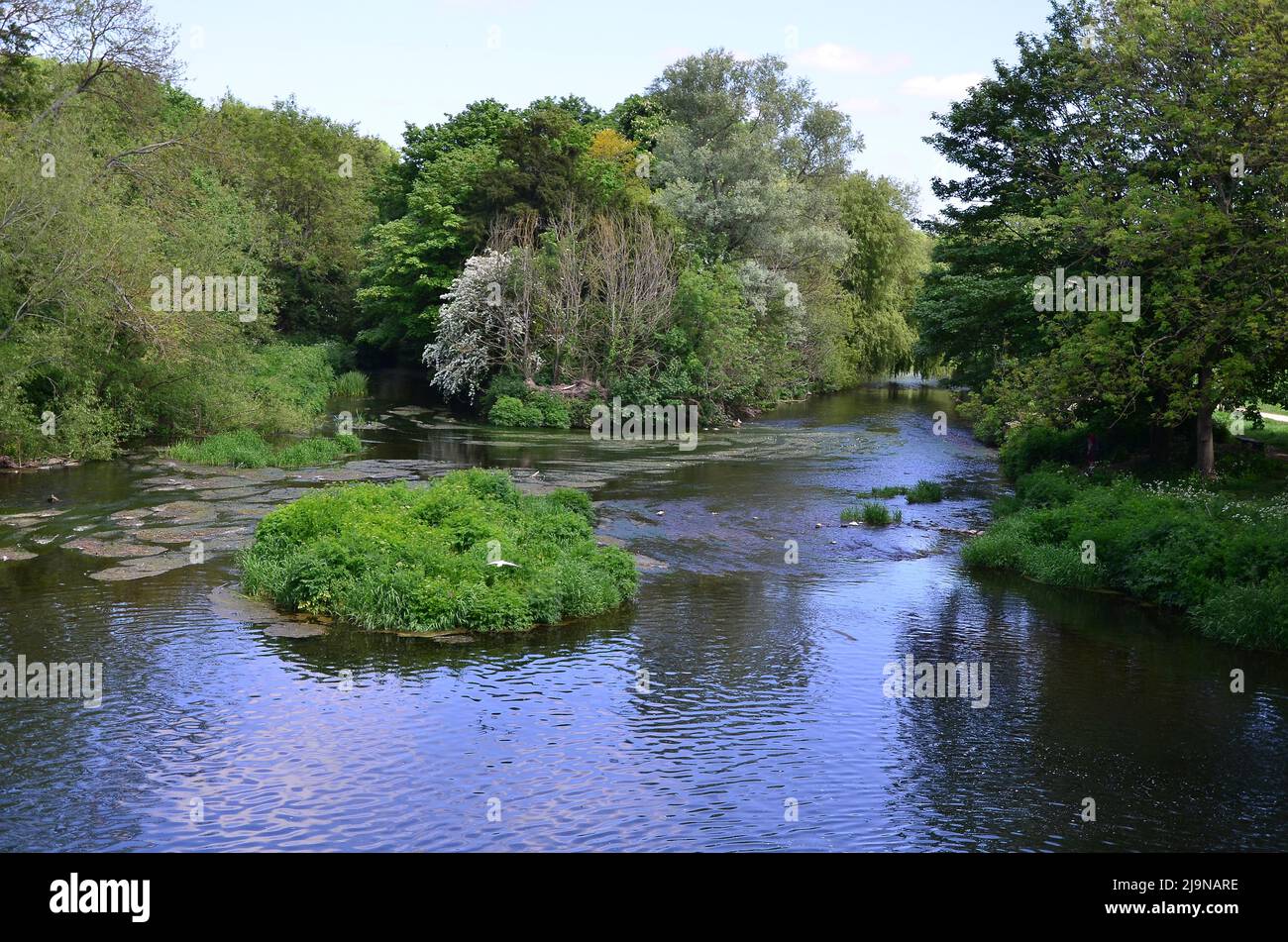 Silt-laden water rushing over a weir on the River Stour Blandford Dorset  England UK Stock Photo - Alamy