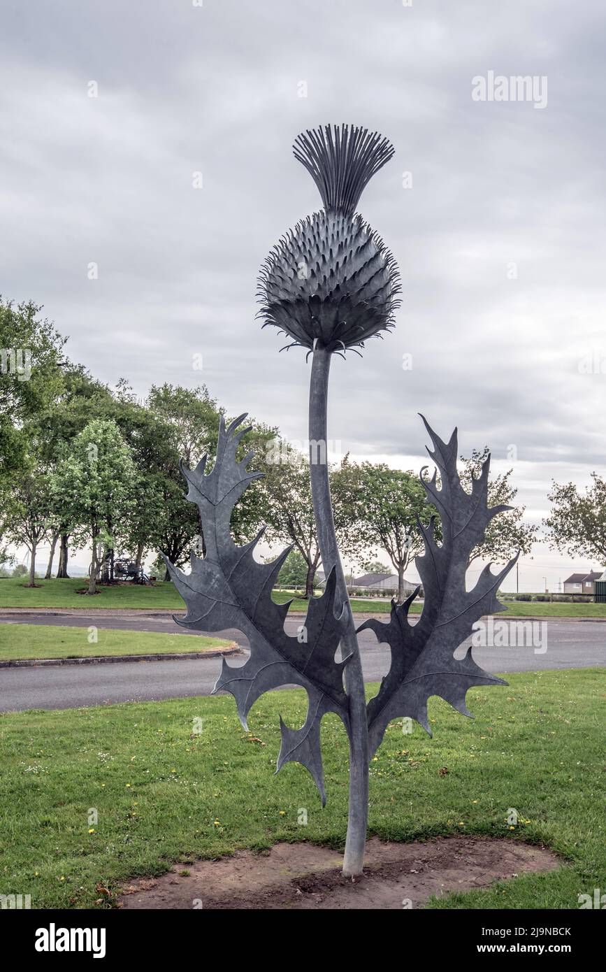 Thistle statue hires stock photography and images Alamy